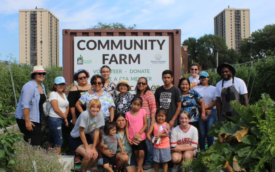 All In at Just Roots